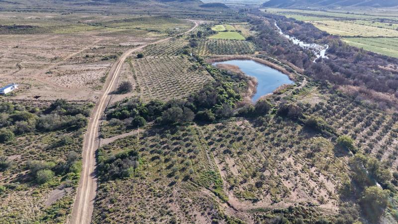 0 Bedroom Property for Sale in Ladismith Western Cape